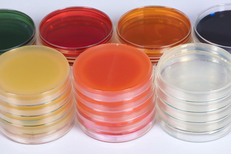 Babio의 고품질 Sapouraud Dextrose Agar (SDA)