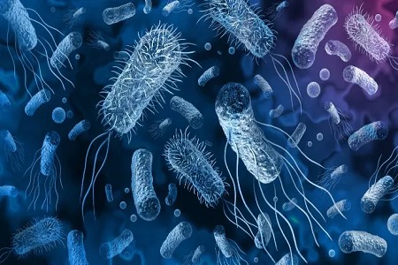 Babio는 Vibrio Cholerae Rapid 항원 검출 키트를 출시합니다