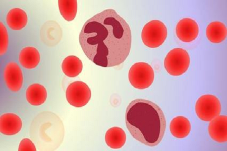 Babio는 진행된 혈액 배양 병으로 혈류 감염 진단을 향상시킵니다.