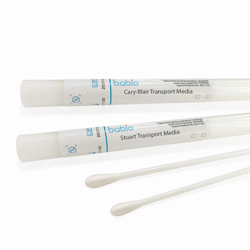 Babio의 Amies, Stuart 및 Cary-Blair 운송 매체로 임상 진단 강화