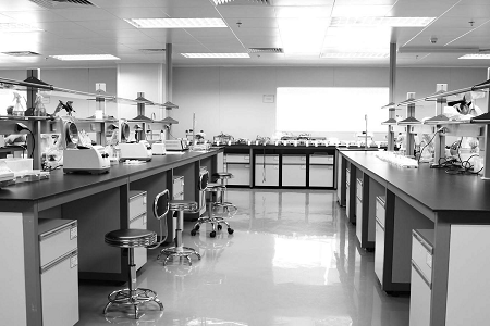 Babio Salmonella Shigella Agar : 식품 안전 및 임상 진단을위한 신뢰할 수있는 매체