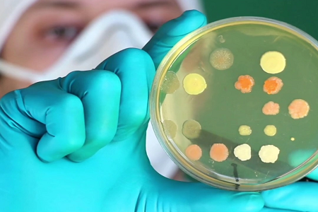 BABIO, 글로벌 임상 및 실험실 미생물학을 위한 프리미엄 Trypticase Soy Broth(TSB) 출시
