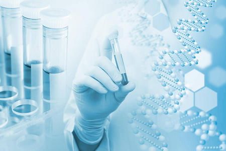 Agar Medium B(Casein Soya Bean Digest Agar) – 미생물 배양을 위한 신뢰할 수 있는 선택