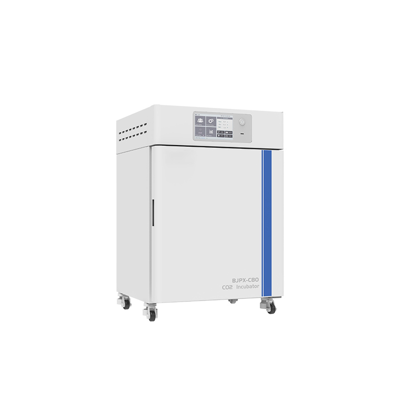 CO2 인큐베이터 BJPX-C50 BJPX-C80 BJPX-C160 BJPX-C80S BJPX-C160S
