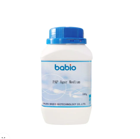 PAP 한천배지
